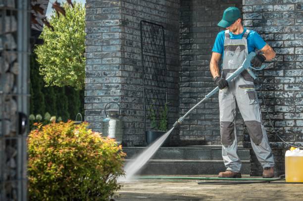 Best Roof Cleaning and Mildew Removal in Denver City, TX